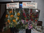 HIMG0543.JPG