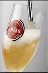 485-AMBERnama_s.jpg