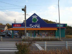 EPSN4555.JPG