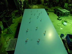 DSCN0446.jpg