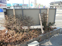 DSCN0582.jpg