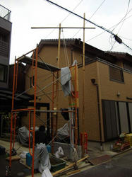 IMGP0329.jpg