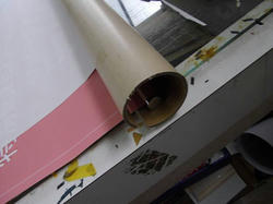 IMGP1167.jpg