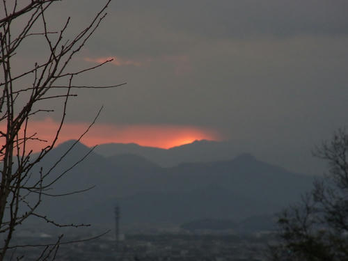 R0039228.JPG