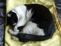 07.1019.gonmaru.jpg