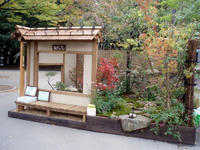 07.1025.garden8.jpg