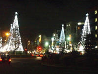 08.1212.kustin1.jpg
