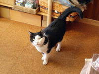09.0201.bc1.jpg