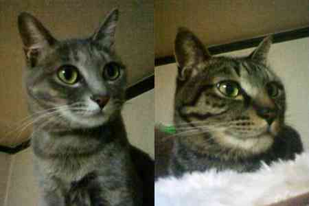 相変わらず2匹ともヤンチャです