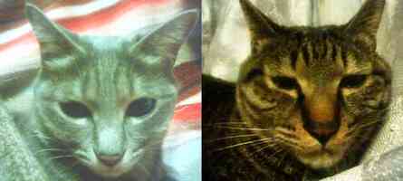 顔の良し悪しが分かるなぁ（笑）