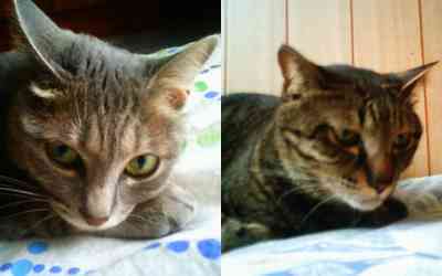 ぐうたらシーン。