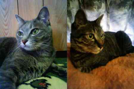 2匹は相変わらず。