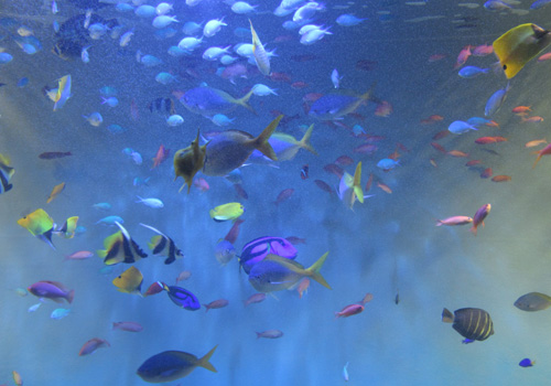 楽しかった！！