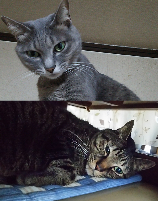 相変わらず仲は悪い&hellip;