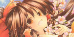 sakurareimu-1.jpg