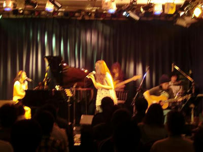 live161.JPG