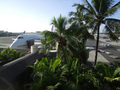 ハワイと、日本航空のジャンボの組み合わせが見られるのも、今回で最後か…