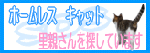 33ad0e0f.gif