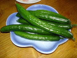 DSC06493.jpg