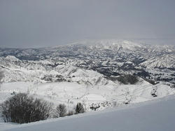 DSC01733.jpg