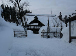DSC01749.jpg