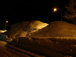 DSC01761.jpg