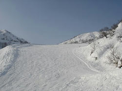 DSC01833.jpg