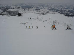 DSC02009.jpg