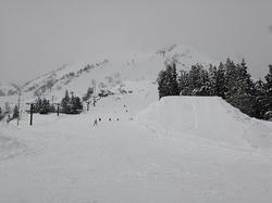 DSC02018.jpg