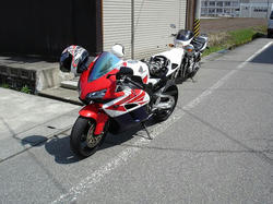 DSC00817.jpg