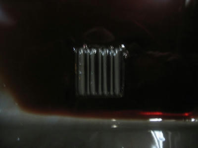 IMG_00030023.jpg