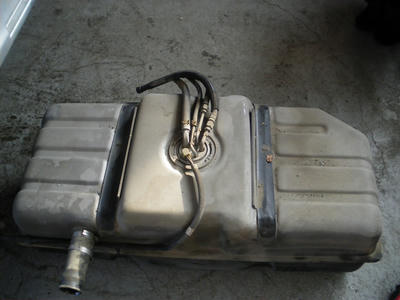 IMGP0255.JPG