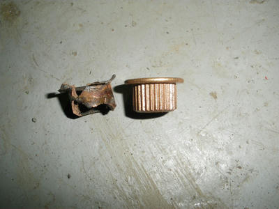 IMGP0699.JPG