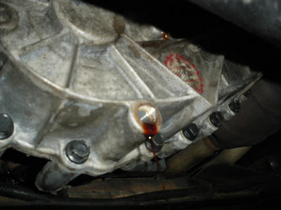 IMGP0494.JPG