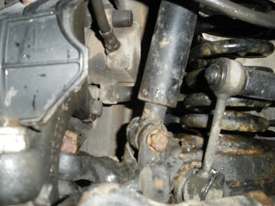 IMGP0100.JPG