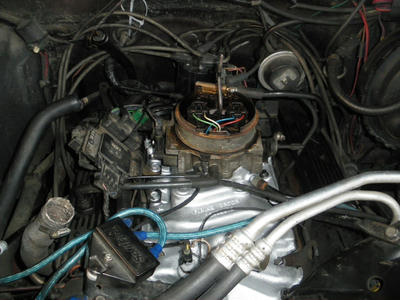 IMGP1059.JPG