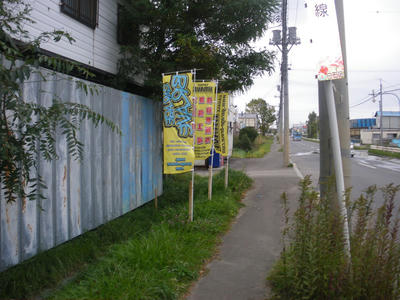 IMGP0329.JPG