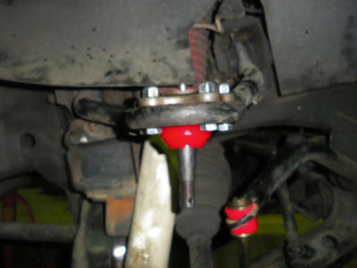 IMGP0290.JPG