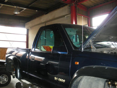IMGP0380.JPG