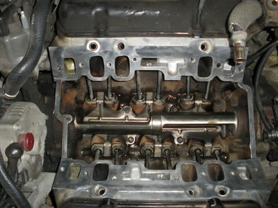 IMGP0480.JPG