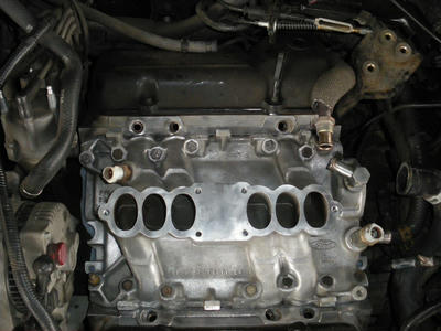 IMGP0521.JPG