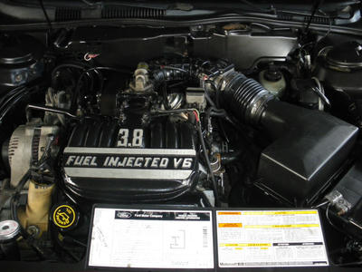 IMGP0571.JPG