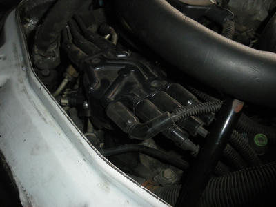 IMGP0812.JPG