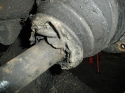 IMGP0203.JPG