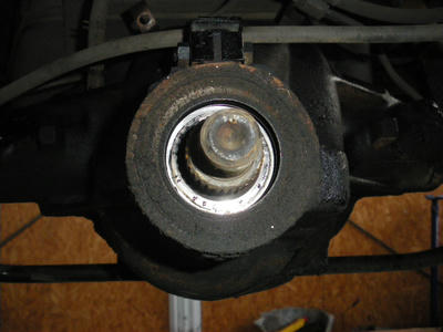 IMGP1155.JPG