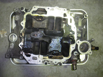 IMGP1600.JPG