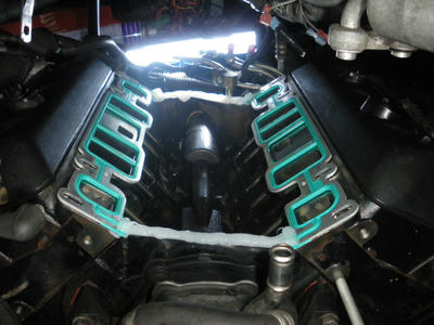 IMGP1661.JPG
