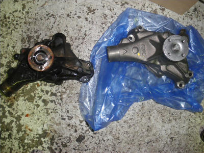 IMGP2005.JPG