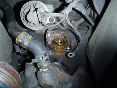 P3100006.JPG