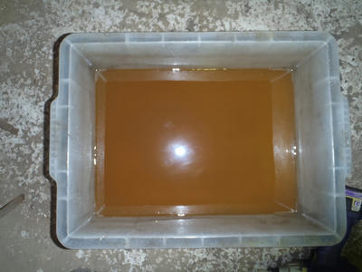 P3100041.JPG
